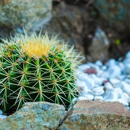 Prázdninový dům Eliodora - Due