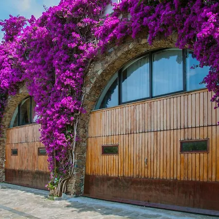 Eliodora - Due * Arenzano