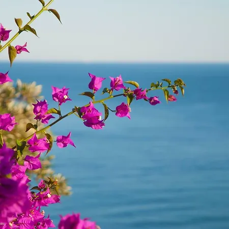 Casa vacanze Eliodora